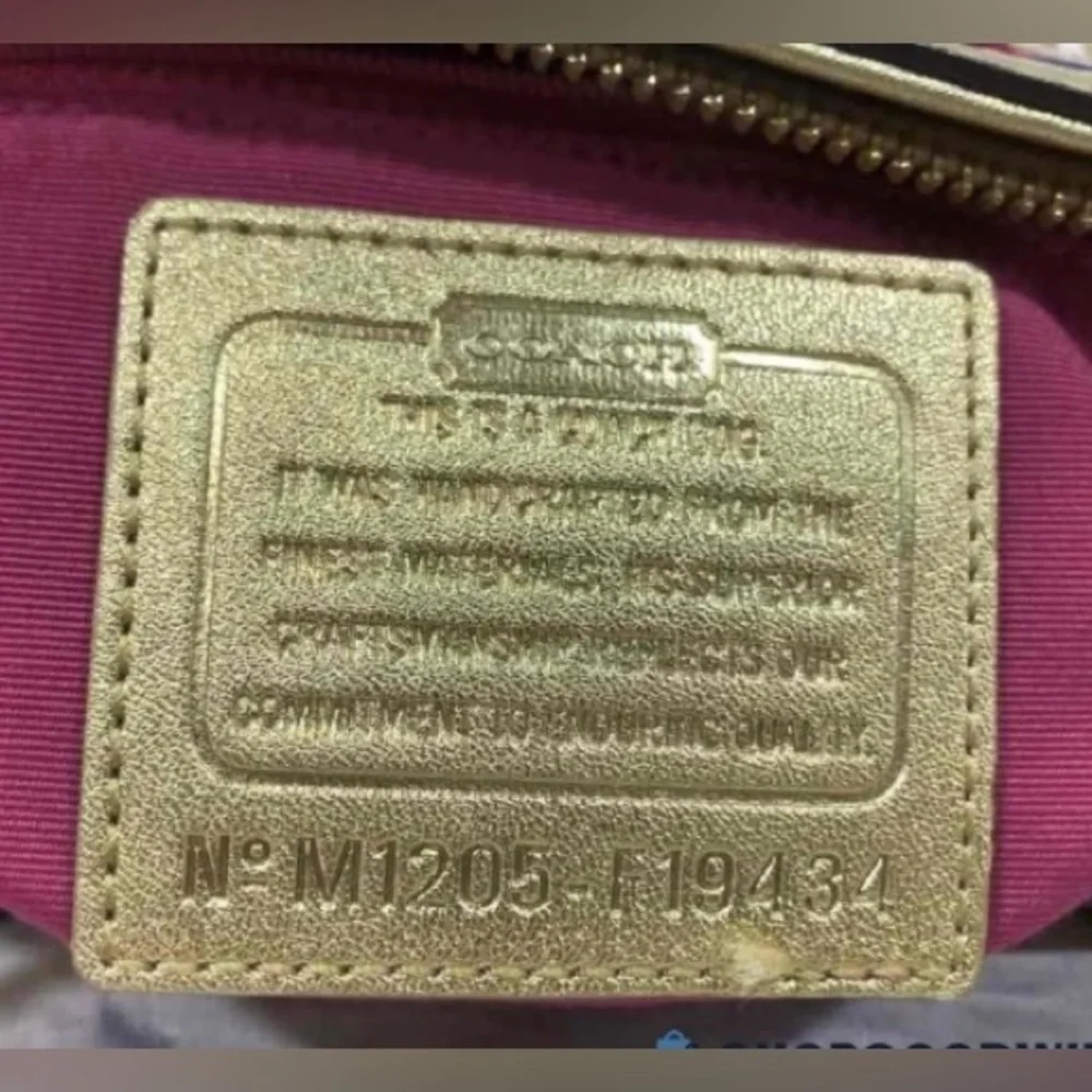 COACH Poppy Rainbow Pop Glam Multicolor Signature Cs Double Strap Shoulder Bag